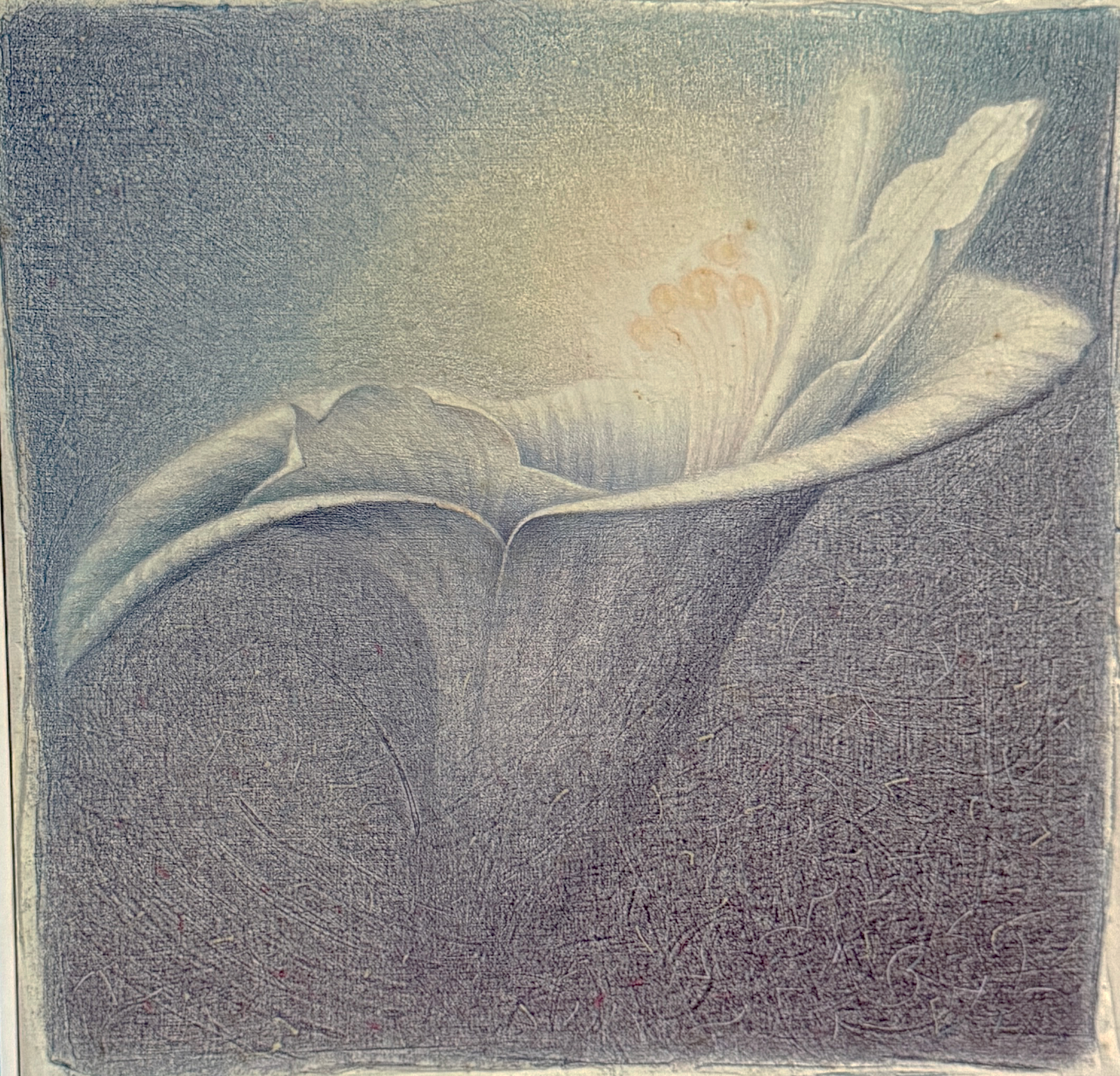 Todos los Tratamientos